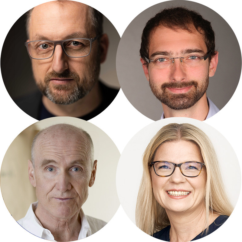 MEG Curriculum "Hypnosystemische Kommunikation" (KomHyp) 1 - 8